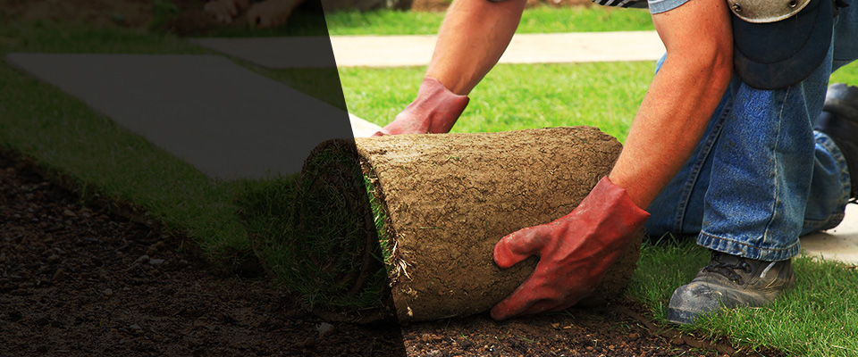 Cocoa Beach Landscapers